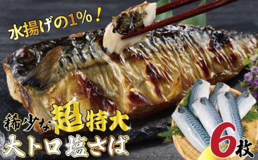 超特大 ！  大トロ 塩さば ６枚 特大 大きい 塩鯖 さば 鯖 幻 希少 大サイズ 肉 厚 極上 フィレ フィーレ 切身 切り身 カット 国内加工 霜降り トロ 冷凍 無添加 魚 水産 海産 青魚 魚貝 魚貝類 魚介 魚介類 海鮮 お弁当 おかず 和食 ご飯 焼き鯖 メガ メガサイズ ギフト プレゼント 長期保存 ストック 小分け ふるさと納税 千葉県 銚子市 カネジョウ大崎