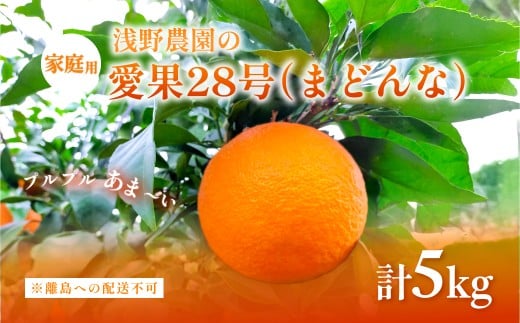 【先行予約】【数量限定】浅野農園の愛果28号（まどんな）家庭用5kg※離島への配送不可（2025年12月中旬～2026年1月中旬頃に順次発送予定） 【 ふるさと納税 人気 おすすめ ランキング 柑橘 みかん ミカン フルーツ 果物 愛媛 有名 代表 高級 愛媛県産 愛媛みかん 浅野農園 愛媛県 伊方町 送料無料 】IKTAC025