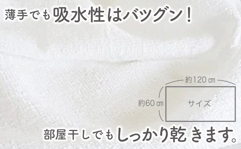 【スピード発送】泉州タオル「家事がラクになるバスタオル」セット（パステル系） G2238