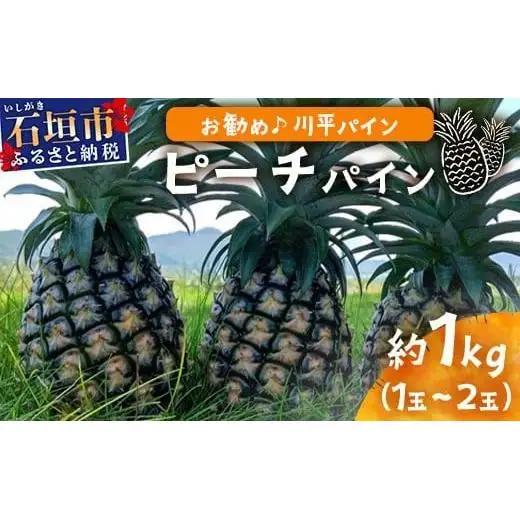 パイナップル 【先行予約】ピーチパイン1ｋｇ（1～2玉）　KN-4