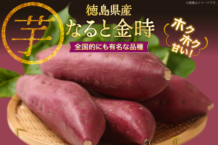【大人気！】 さつまいも なると金時 5kg
