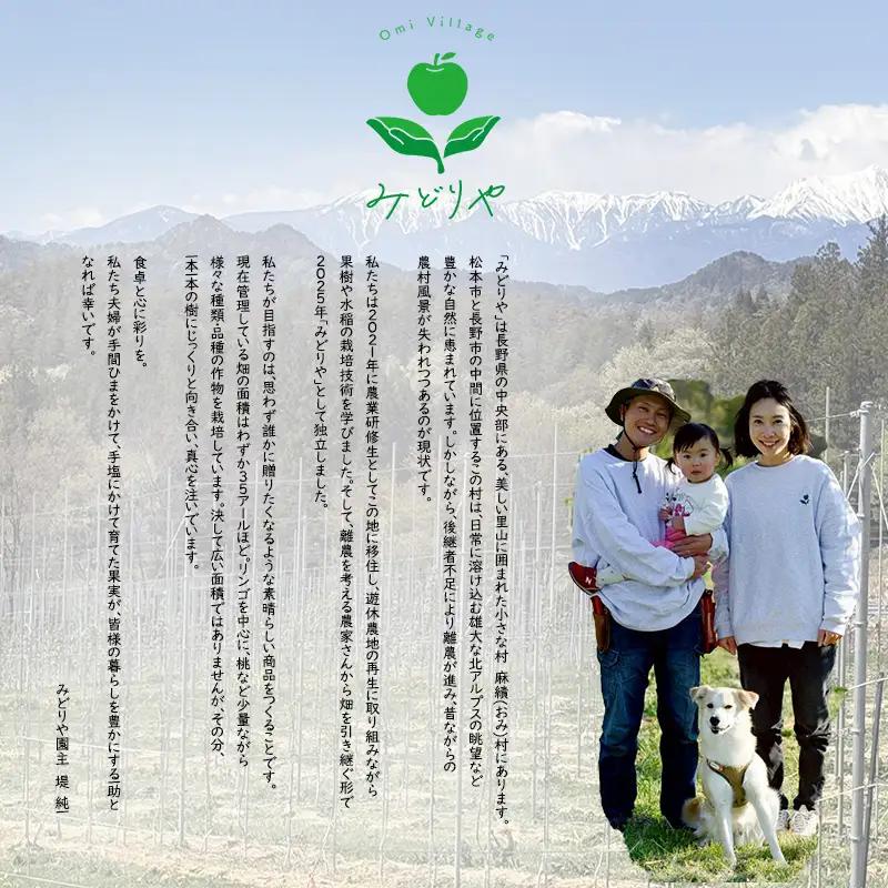 【2026年 先行予約 令和8年産】長野 麻績村 りんご 期間限定 特選品 3kg ギフト 自宅用 贈り物 自宅用にも ギフトにも 堤 みどりや シナノスイート 産地直送 新返礼品