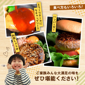 オアシス九州 熊本県産あか牛ハンバーグ150ｇ×10個 _U117-0049