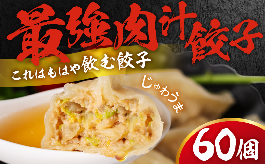 とよはし『最強肉汁餃子』60個（1箱20個入り×3箱）