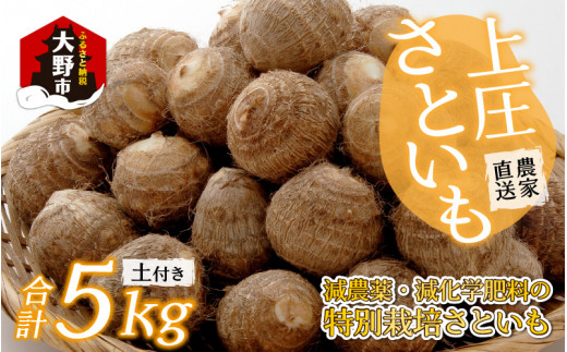 【先行予約】【11月発送分】上庄さといも 5kg 減農薬・減化学肥料の特別栽培里芋