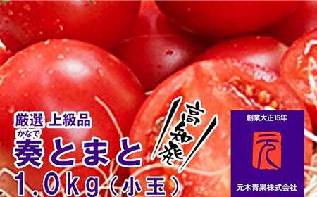 【先行予約】フルーツトマト「奏 (かなで) とまと」 (小玉) 約1kg化粧箱入 土佐郷 〈2025年7月下旬頃から発送〉 【グレイジア株式会社】 [ATAC320]