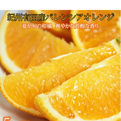 G7079_希少な国産バレンシアオレンジ 5kg 秀品_イメージ4