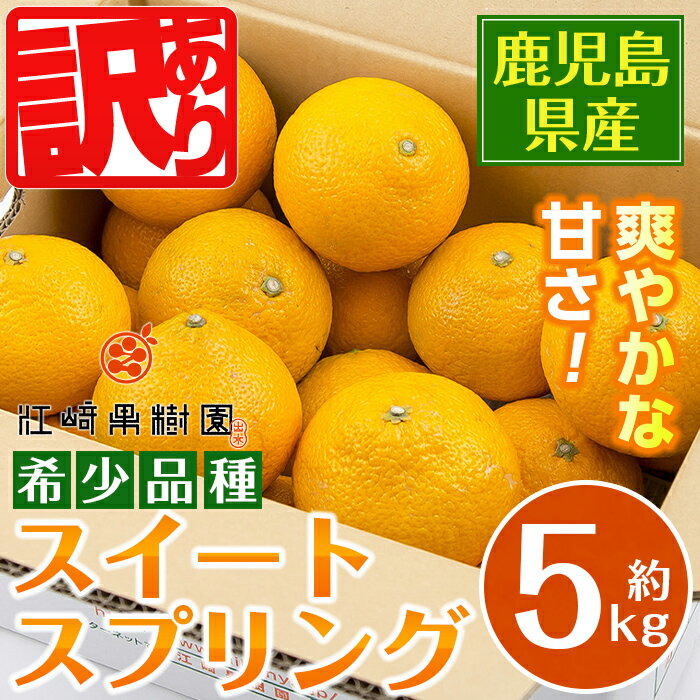 【ふるさと納税】＜先行予約受付中！2025年12月下旬～2月下旬の間に発送予定＞ ＜数量・期間限定＞ 《傷ありのため訳あり》 スイートスプリング (約5kg) 鹿児島 みかん スイートスプリング 柑橘 果物 くだもの フルーツ 旬 ミカン 【江崎果樹園】