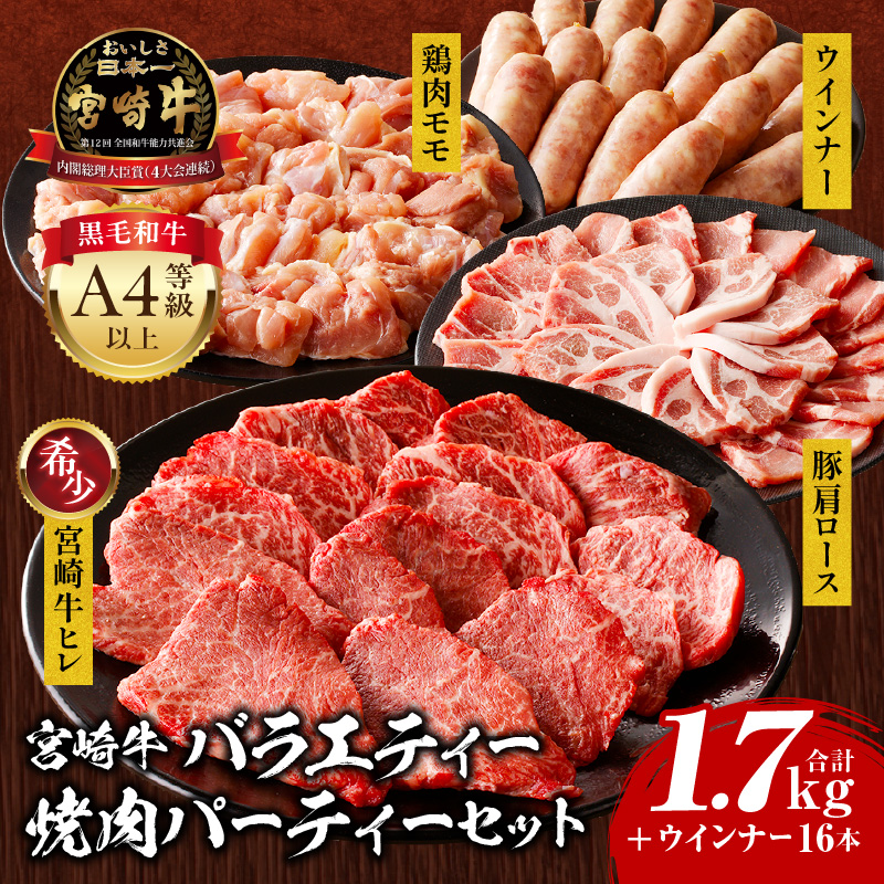 宮崎牛 バラエティー焼肉パーティーセット_M243-039