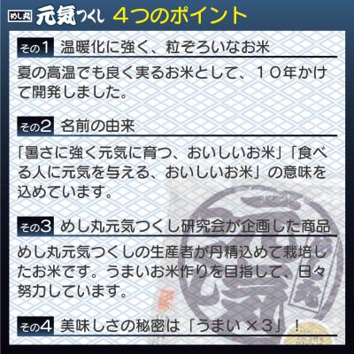 ふるさと納税 春日市 福岡県産米 無添加「元気つくし」パックご飯 200g×24パック(春日市) |  | 03