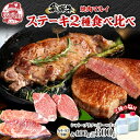 【ふるさと納税】飛騨牛 ステーキ 2種 食べ比べ 計約800g シャトーブリアン サーロイン 各約400g 肉 牛肉 和牛 ブランド牛 お肉 ビーフ A4ランク A5ランク 国産 お取り寄せ ご褒美 豪華 グルメ 焼肉 BBQ 人気 贈り物 自家用 贈答用 送料無料 焼肉マルイ 岐阜県 安八町