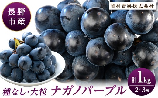 J0500ナガノパープル1kg
