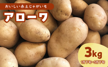 【 2025年 先行予約 】沖永良部島産 おいしい 赤土じゃがいも アローワ 3kg【1月下旬～5月下旬】W009-070u-01 じゃがいも ジャガイモ 野菜 根菜 イモ類 イモ ホクホク 沖永良部