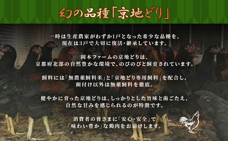 福知山産　京地どり　お試しセット（もも肉・むね肉・手羽先・手羽元・ささみ）　計1kg FCP010