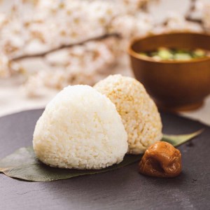 茨城県下妻市産虹のきらめき玄米10kg 〈茨城県共通返礼品・下妻市〉※着日指定不可_DN03