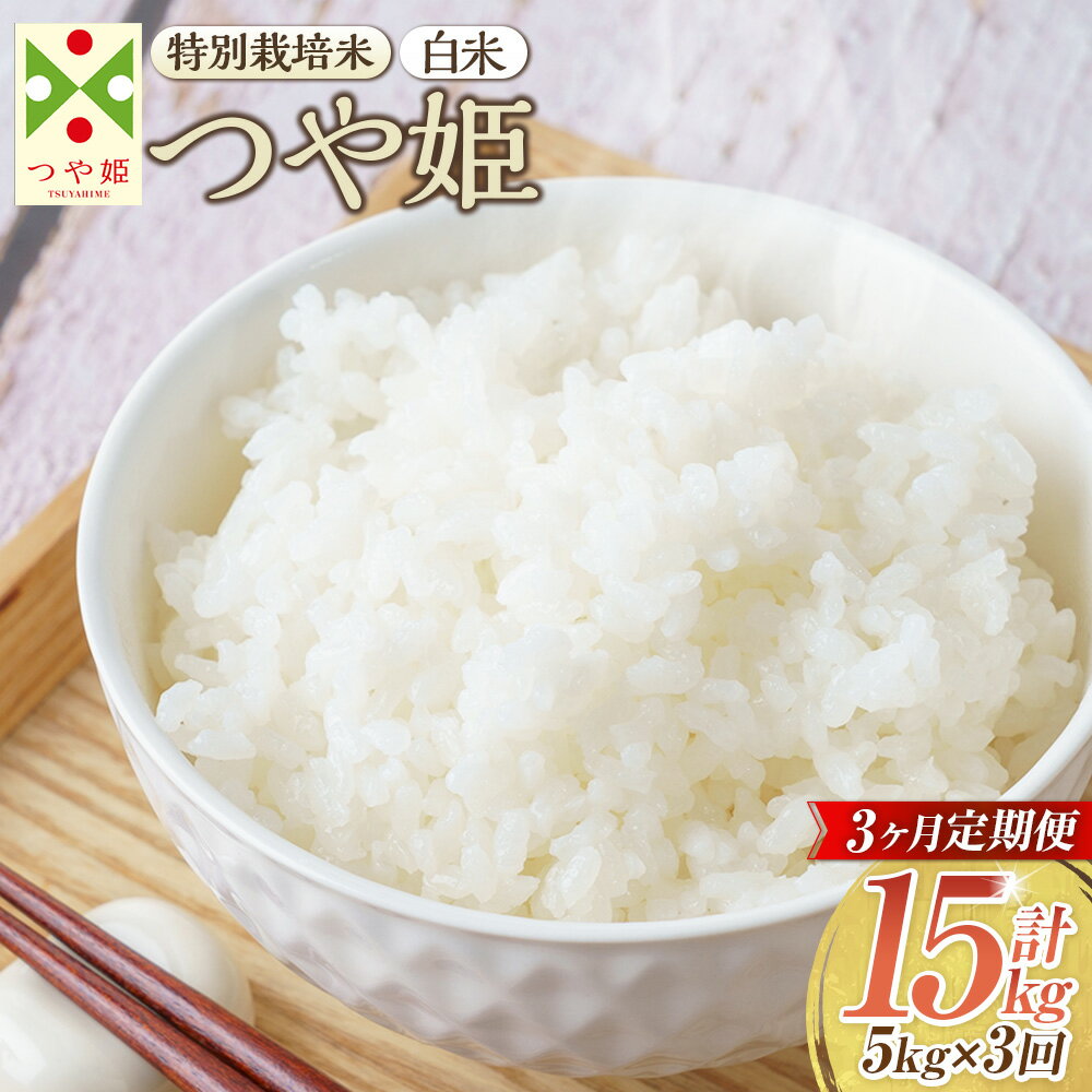 【ふるさと納税】【3ヶ月定期便】【令和7年産新米】〈白米〉 つや姫 5kg×3回（特別栽培米） 山形県産 しらたかのお米 【2025年11月上旬発送開始予定】