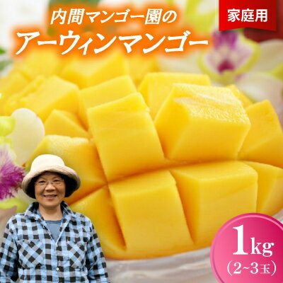 【ふるさと納税】【2026年7月から順次発送・家庭用】内間マンゴー園のアーウィンマンゴー1kg(2～3玉)【配送不可地域：離島】【1695323】