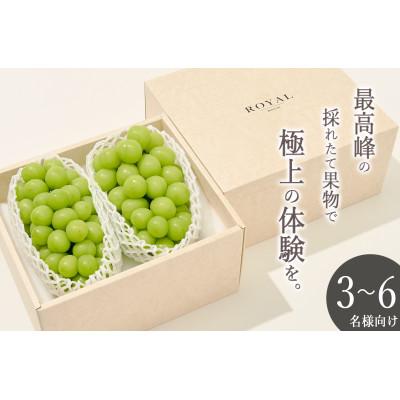 ふるさと納税 甲州市 【発送月固定定期便】『2026年先行受付』甲州市自慢の大玉桃と大粒シャインマスカット 全2回 |  | 02