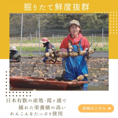 れんこんチップス 30g×20袋セット【配送不可地域：離島・沖縄県】【1735732】