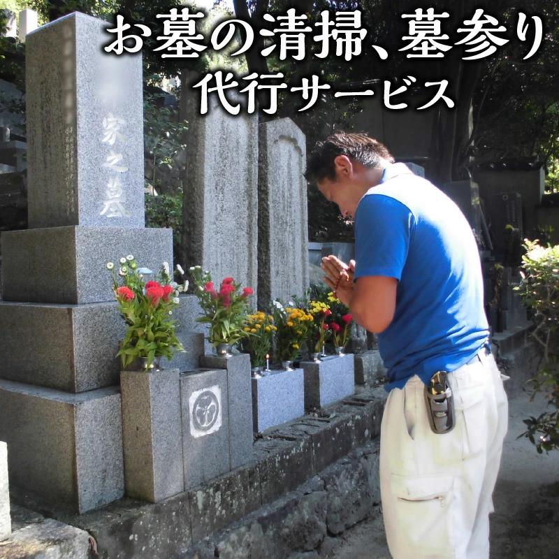 お墓の清掃、墓参り代行サービス_M66-0001