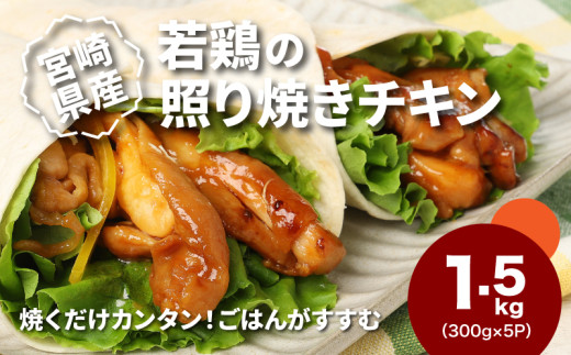 
                  1袋300g！宮崎県産若鶏の照り焼きチキン 1.5kg - 選べる内容量 小分け 1袋1kg大容量もあり 味付け肉 お弁当のおかず おすすめ 味付き肉 惣菜 一人暮らし 加工品 冷凍おかず てりやきチキン カット済み 真空パック 鶏モモ肉_K16_0165_1
                