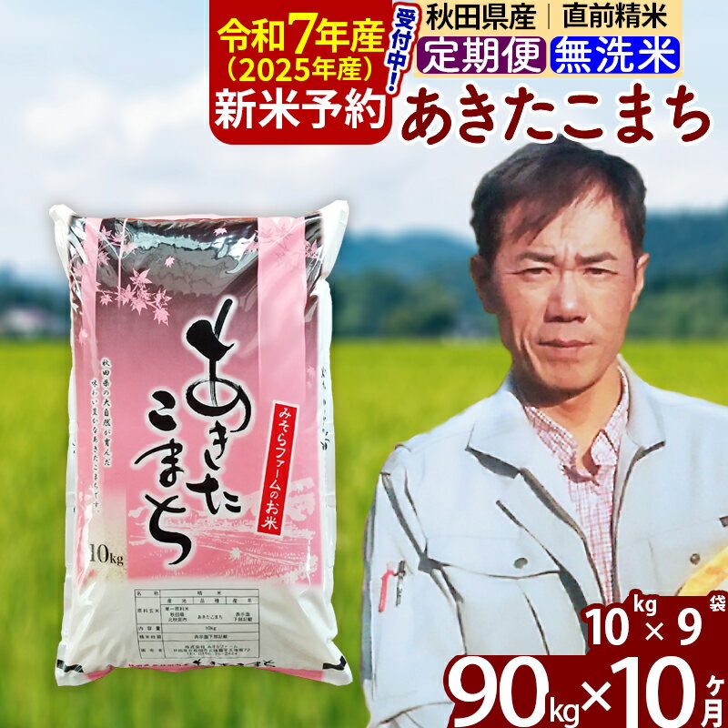 【ふるさと納税】※令和7年産 新米予約※《定期便10ヶ月》秋田県産 あきたこまち 90kg【無洗米】(10kg袋) 2025年産 お届け周期調整可能 隔月に調整OK お米 みそらファーム