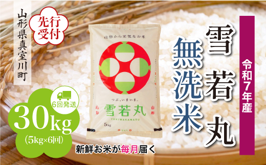 
            ＜令和7年産米先行受付＞ 真室川町産 雪若丸 【無洗米】 定期便 30kg （5kg×1ヶ月間隔で6回お届け）＜配送時期指定可＞
          