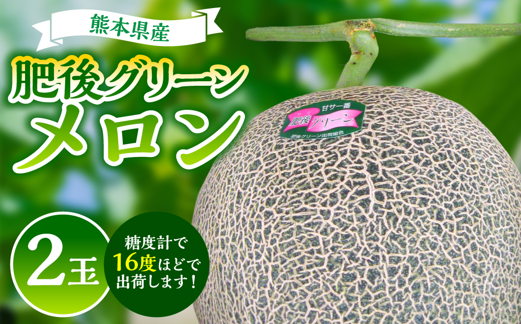 【先行予約】熊本県産フルーツ☆肥後グリーンメロン(2玉)【2025年5月下旬より発送】