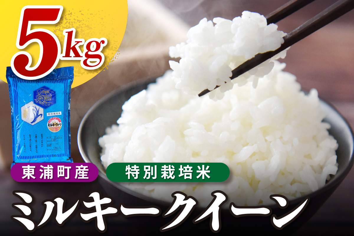 東浦町産　ミルキークイーン 5kg｜米  新米 おこめ コメ 精米 ミルキークイーン ミルキークィーン 直送 鈴木農産 愛知県 東浦町
