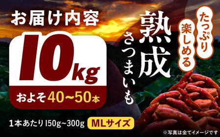 さつまいも 10㎏ / 焼き芋 焼きいも 紅はるか シルクスイート あまはづき 野菜 愛西市 / 川口農園[AEDH002]