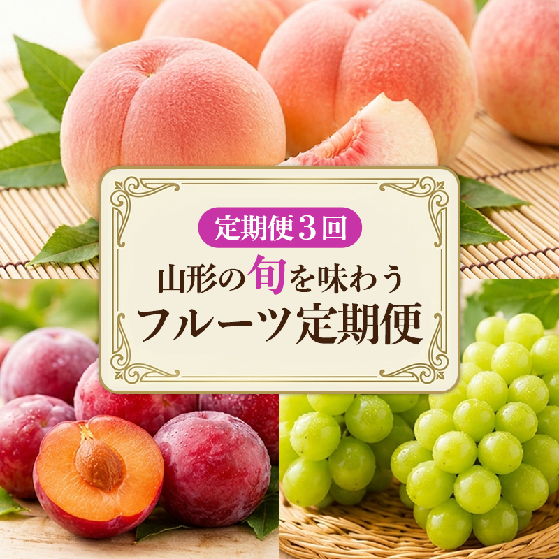 【定期便3回】山形の旬を味わう フルーツ定期便 FY26-178