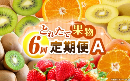 とれたて果物 6回定期便A 果物 フルーツ 果物定期便 フルーツ定期便 定期便 いちご キウイ デコポン みかん 濃厚 旬の果物 定期 人気 おすすめ 贈答 贈り物 青果物 糖度 香川県 _mk165-t083