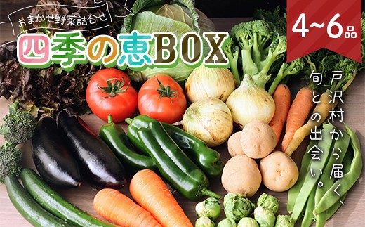 
                  山形県 戸沢村産 野菜詰合せ 農家のおまかせ 四季の恵BOX 4~6品 旬の野菜を1回お届け 国産 野菜 やさい 詰め合わせ セット 季節 旬 新鮮 産地直送 自宅 家庭 F7W-0499
                