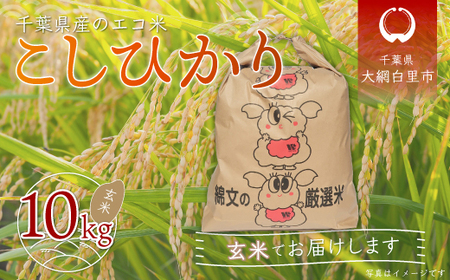 令和5年産 千葉県産エコ米「コシヒカリ」玄米10kg（10kg×1袋） A014