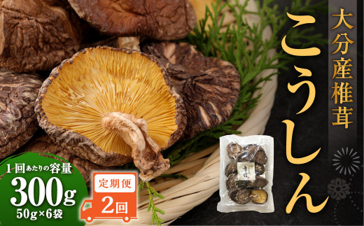【2ヶ月定期便】大分産椎茸こうしん 300g（50g×6袋）合計600g 12袋 乾燥椎茸 乾燥 しいたけ 干し椎茸 乾し椎茸 乾燥野菜 原木こうしん 大分県 九重町