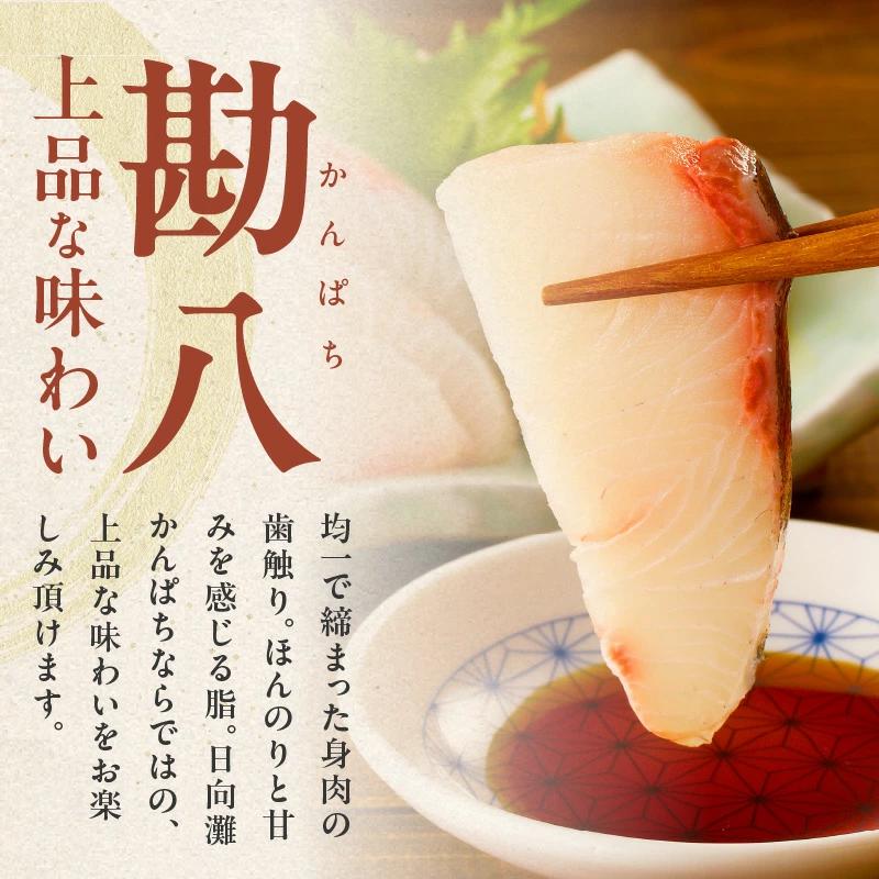 【冷蔵】ブリとカンパチの新鮮お刺身セット少量お試しパック N019-YA194_イメージ3