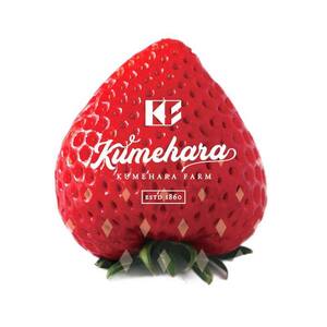 【久米原農園】最高金賞受賞！ 埼玉県 本庄市産 いちご 冷凍 あまりん 1㎏(500g×2) 急速冷凍 フローズン 果物 くだもの フルーツ 苺 イチゴ ストロベリー デザート 食品 小分け 自宅用 