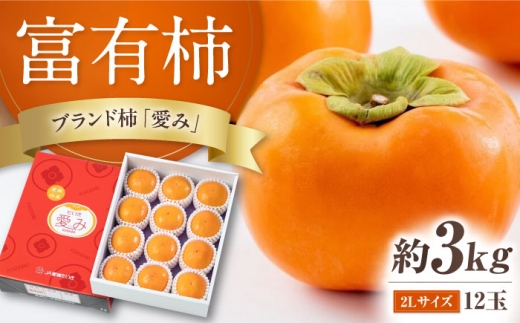 柿 【先行予約】富有柿 2L玉サイズ 約3kg（12玉入り）／フルーツ 果物 くだもの 食品 人気 内子町 おすすめ 送料無料 かき 旬 甘柿 デザート 農協 JA 有袋 愛媛県 四国 返礼品 お取り寄せ ギフト 産地直送 贈答品 特産品 果汁 完熟 お礼品 グルメ 国産 秋の味覚 旬のフルーツ プレゼント 【愛媛たいき農業協同組合 果樹生産出荷協議会 柿部会】 [BKAL002]