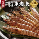 【ふるさと納税】加熱用 冷凍 車海老 250g×2 合計500g 14～24尾 えび くるまえび 魚介 魚貝 海老 九州 熊本県 上天草市 送料無料 【2024年12月下旬から発送予定】