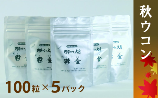 ＜健康食品＞秋ウコン100粒入 5パックセット【050-005】