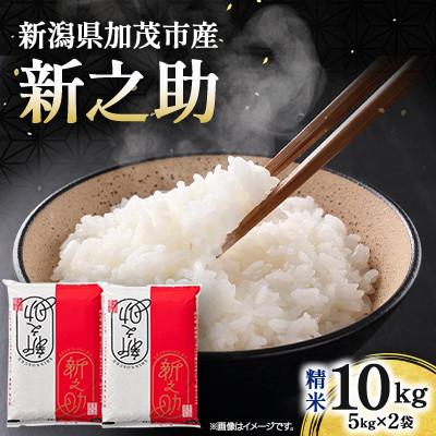 ふるさと納税 加茂市 【先行予約】令和8年産　新之助　精米10kg