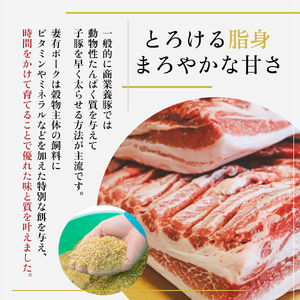 【魚沼銘柄豚】妻有ポークスライス2種セット 肉 お肉 豚肉 詰め合わせ 新潟 