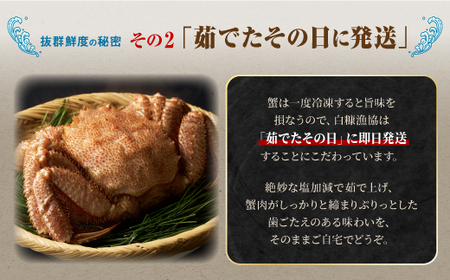 しらぬか産 茹でたて大サイズ毛がに【550g以上】_I053-0561