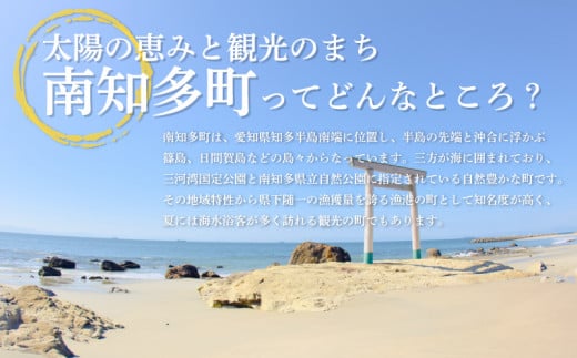 味付け 海苔 のり兄弟 12本 豊浜 味つけのり 海苔 ご飯 ごはん 知多 味付海苔 つまみ おかず おやつ やみつき 味付 海苔 のり おにぎり 弁当 のり おつまみ 晩酌 肴 ご飯のお供 家庭 プ