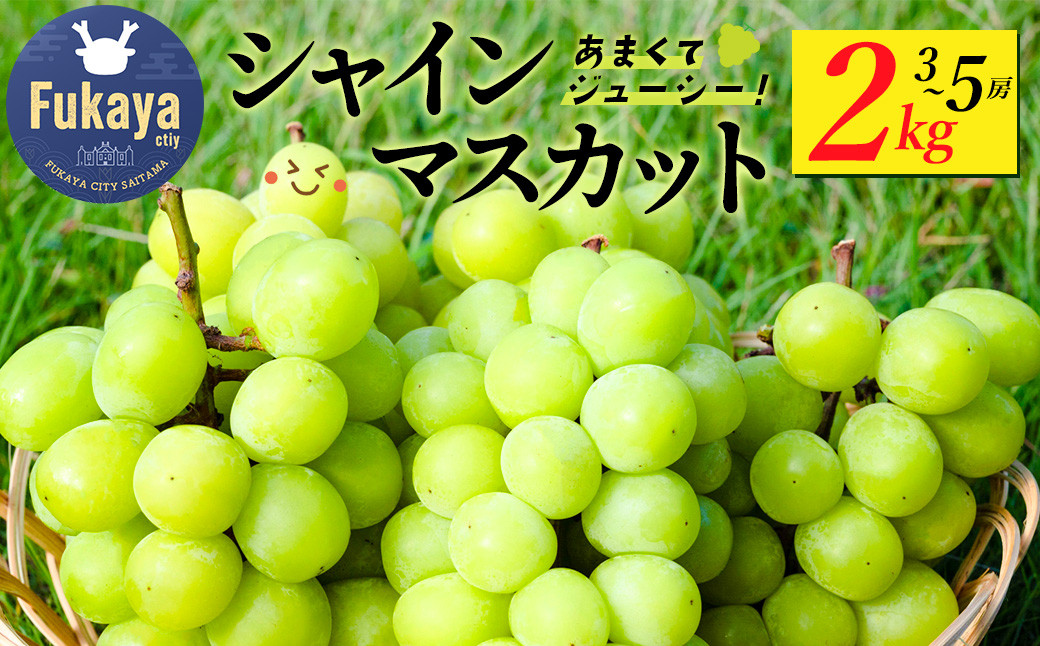 
                  〈先行予約〉シャインマスカット　2kg　【11218-0923】
                