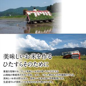 【高島屋選定品】【令和7年産】〈JAみなみ魚沼〉南魚沼産こしひかり5kg