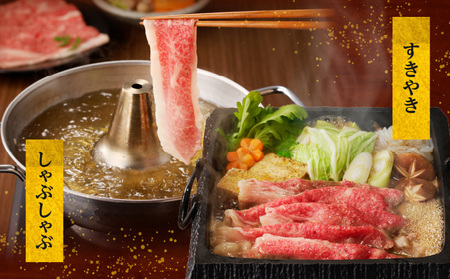 牛肉 赤身 牛肉[宮崎牛 ウデ しゃぶしゃぶ 700g]