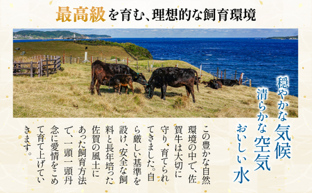 訳あり！艶さし！【A4～A5】佐賀牛焼肉切り落とし(肩ロース・バラ）　500g