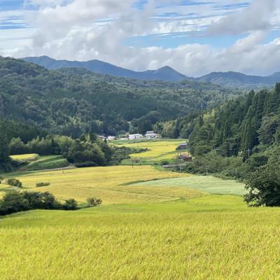 ふるさと納税 松江市 令和7年産 プレミアム仁多米(こしひかり)なおらい米 真空パック 2kg×5袋(合計10kg)松江市 |  | 03