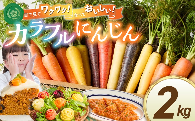 〈予約受付〉メディア出演多数！【期間限定】（お試し） 冬の寒さでぎゅっと濃い！虹色のカラフルにんじん 2kg 鈴盛農園 農家直送 甘い スーパーフード 健康 自慢 ジュース サラダ ギフト 贈り物 βカロテン ポリフェノール リコピン ジューシー 試用 自慢 おためし H022-015